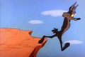 Wiley E Coyote steps off a cliff.jpg